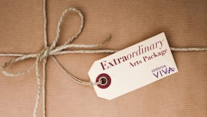 Extraordinary Arts Packages