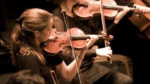 Sinfonia Viva: Masters of German Baroque