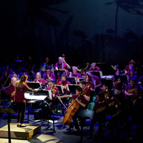 Energy Creative project participants playing their instruments in front of a conductor and crowd