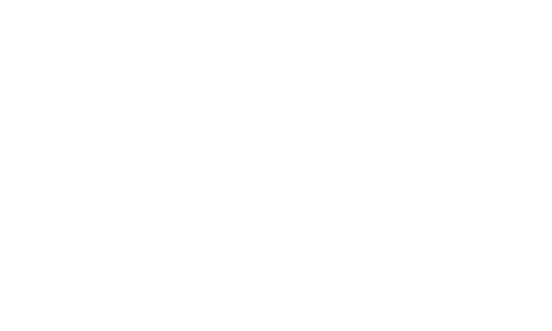 Foyle Foundation logo