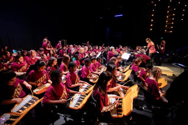 Musicians at Sinfonia Viva playing music for the Energy project