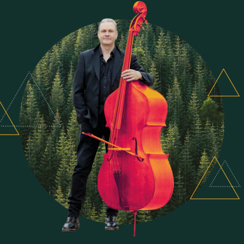 Peter and the Wolf - family concert in Derby. Image shows a double bass player from Sinfonia Viva